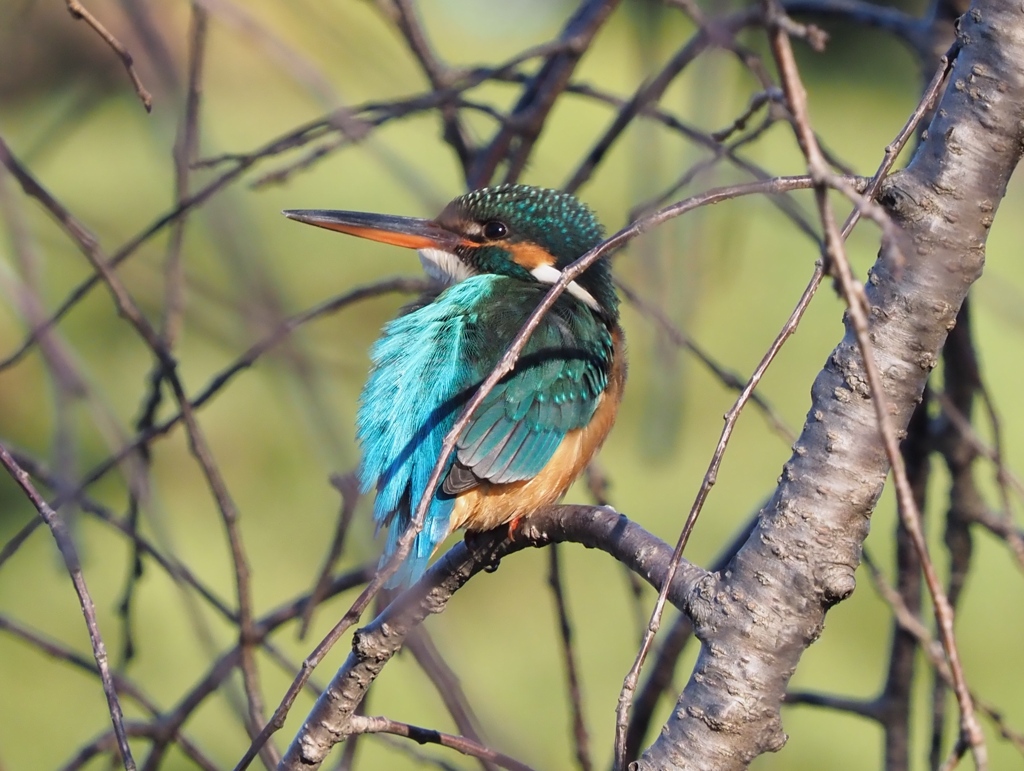暖かな陽射しの中で