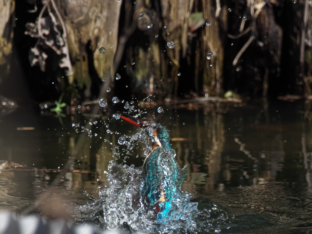 浮上 455（嫁候補）