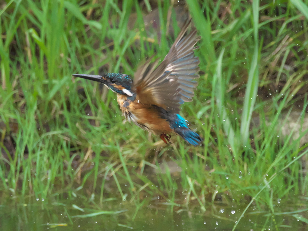 浮上 57-4（父親）