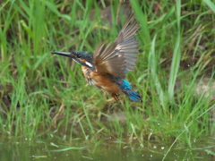 浮上 57-4（父親）