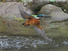浮上 161-2（父親）