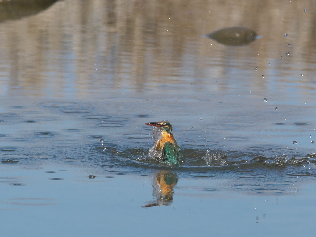 浮上 382-1（嫁候補）