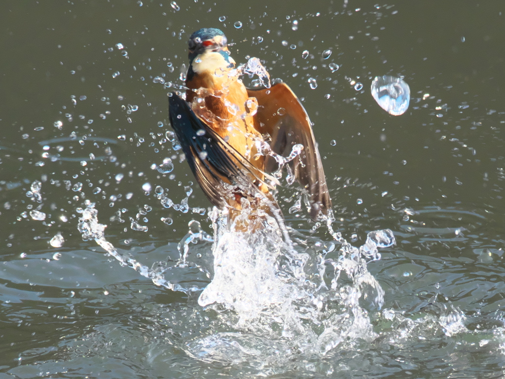 浮上 142-1（父親）