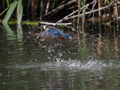 浮上 1281-2 浮上 1281-2
