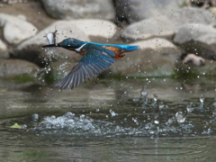 浮上 465-2（父親）