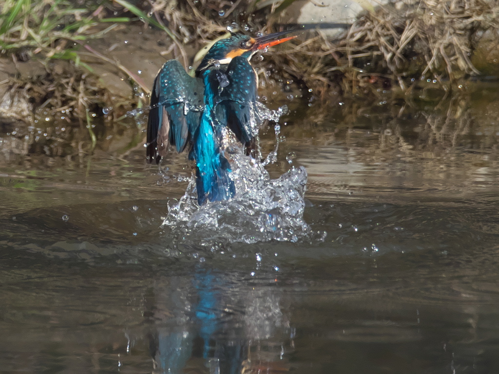 浮上 290（嫁候補）