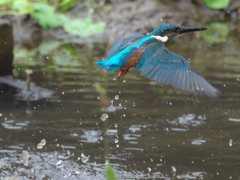 浮上 112-2（父親 霧雨）
