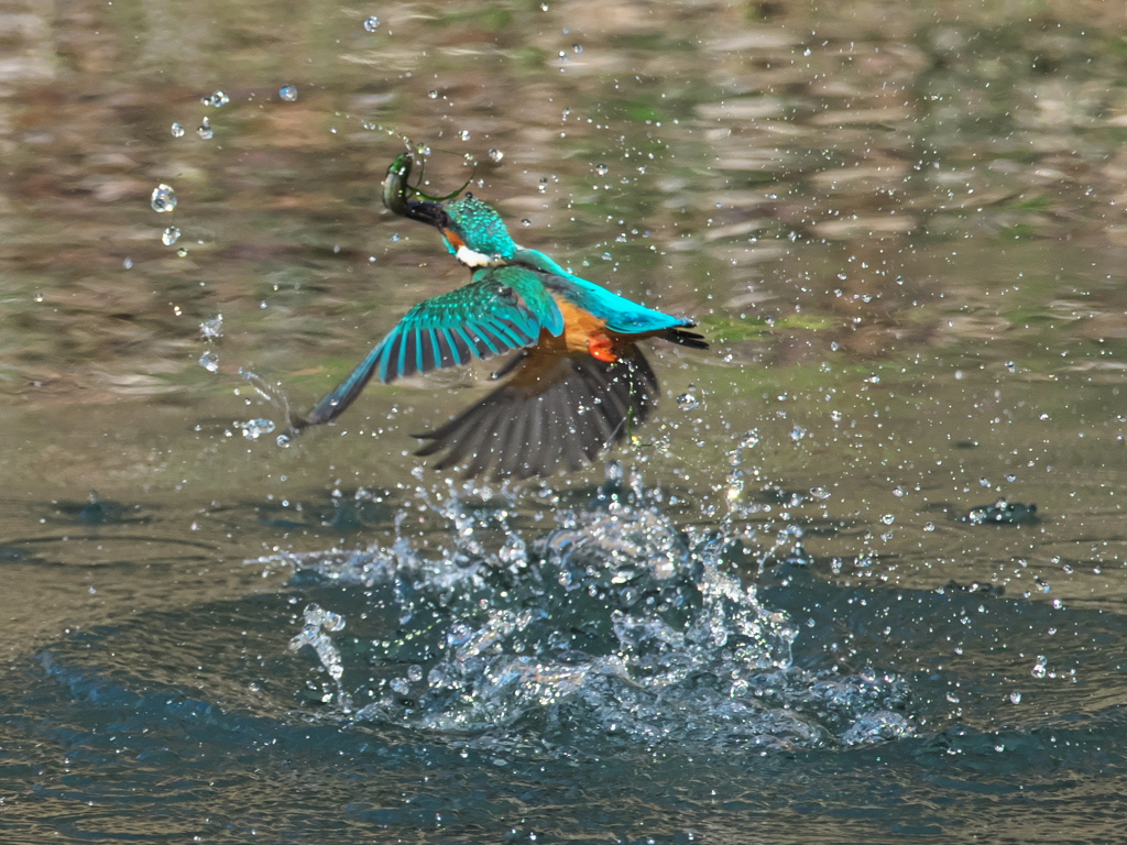 浮上 375-2（嫁候補）