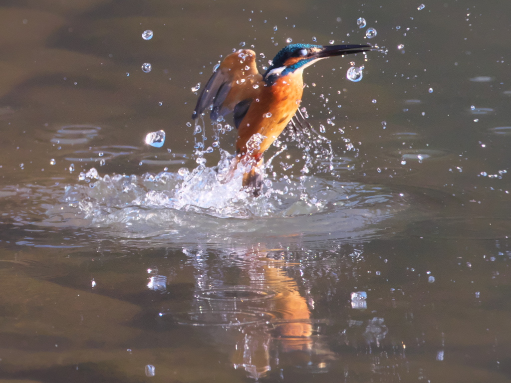 浮上 169-1（父親）
