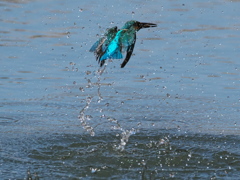 浮上 388-2（父親）