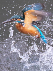 浮上 275（父親）