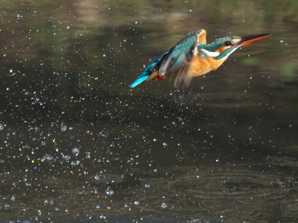 浮上 319（嫁候補）