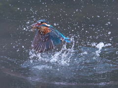 浮上 378（父親）