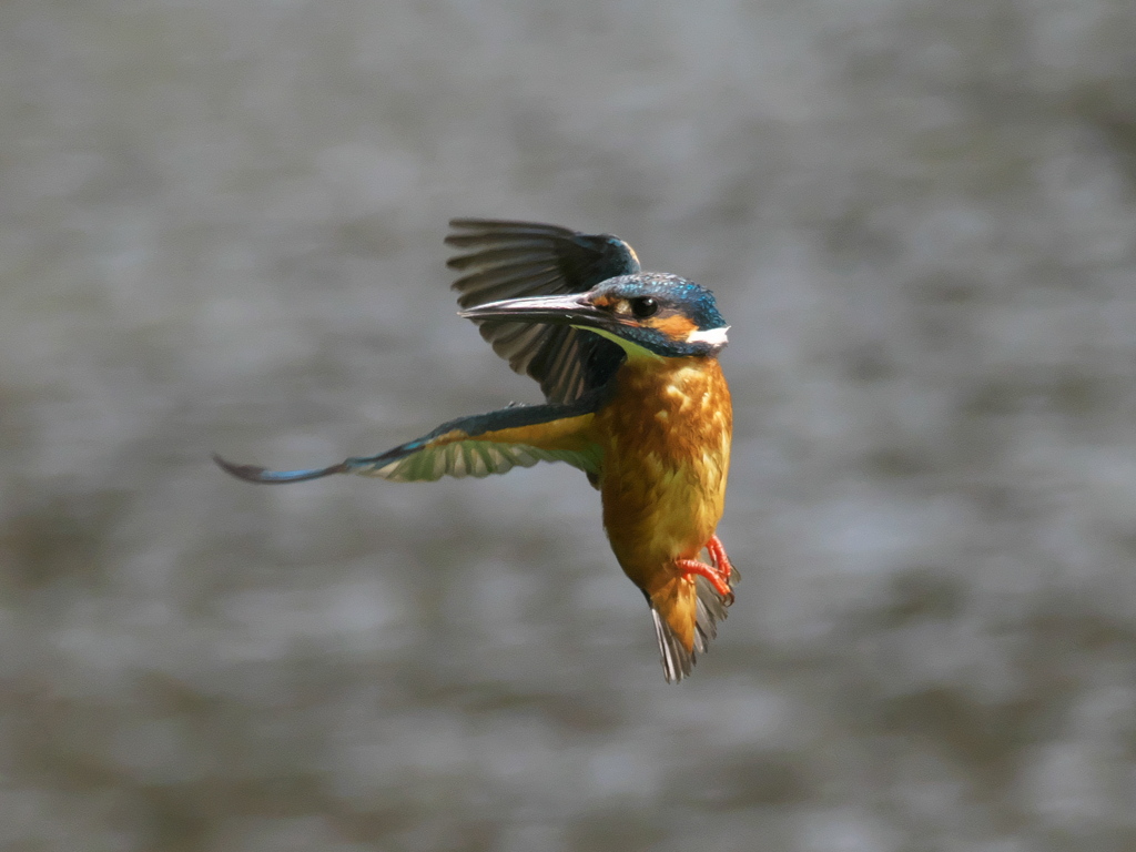 華麗なるターン 8