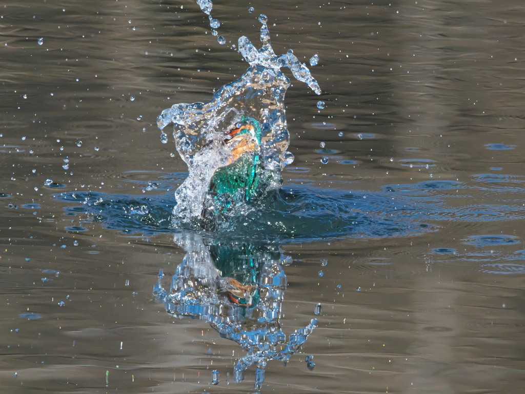 浮上 419（父親）