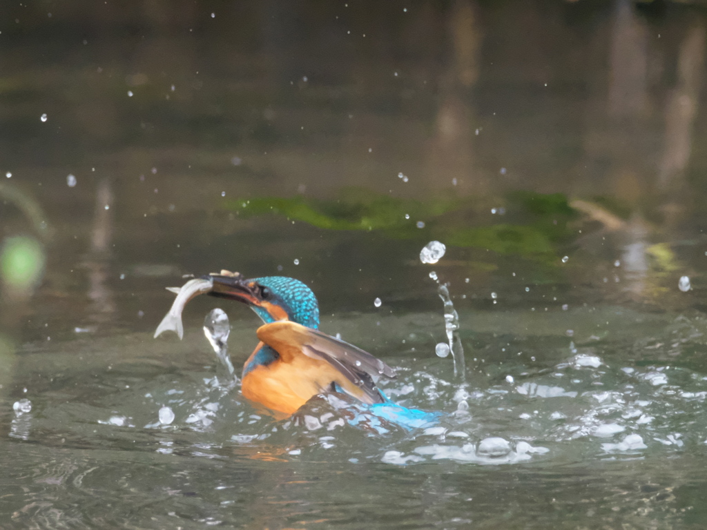 浮上 152-3（父親）