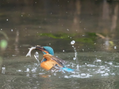 浮上 152-3（父親）