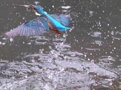 浮上 400-3（父親）