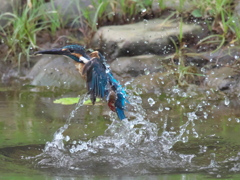 浮上 62-1（父親）