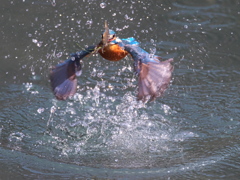 浮上 432-1（父親）