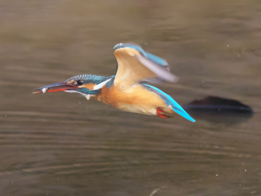 浮上 227（嫁候補）