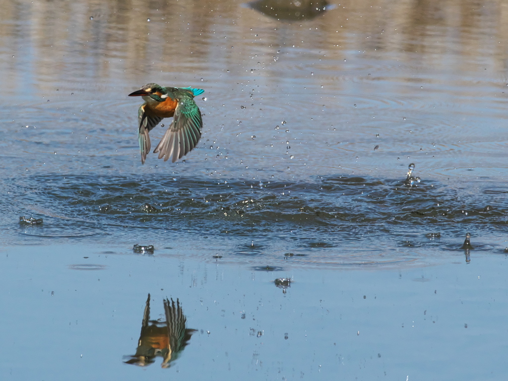 浮上 382-3（嫁候補）