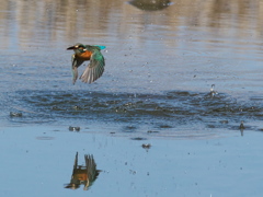 浮上 382-3（嫁候補）