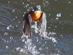 浮上 310（父親）