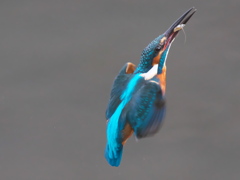 浮上 240-3（父親）