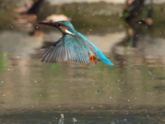 浮上 265（嫁候補）