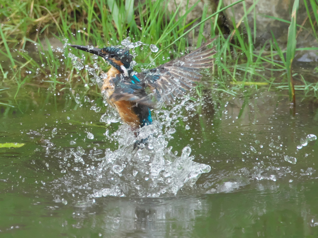 浮上 57-1（父親）