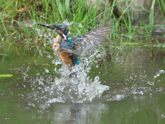 浮上 57-1（父親）