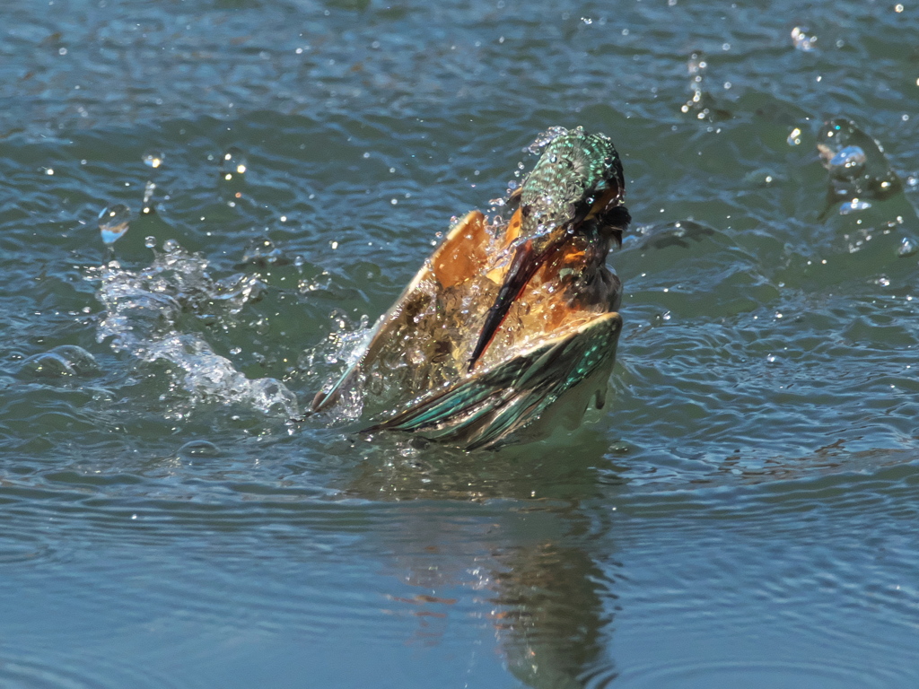 浮上 374-1（嫁候補）