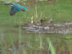 浮上 83-2（父親）