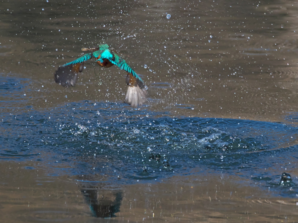 浮上 417（父親）