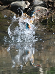 浮上 397（嫁候補）