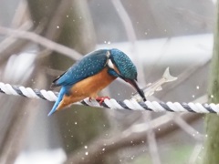 バシッっていう音が聞こえそう