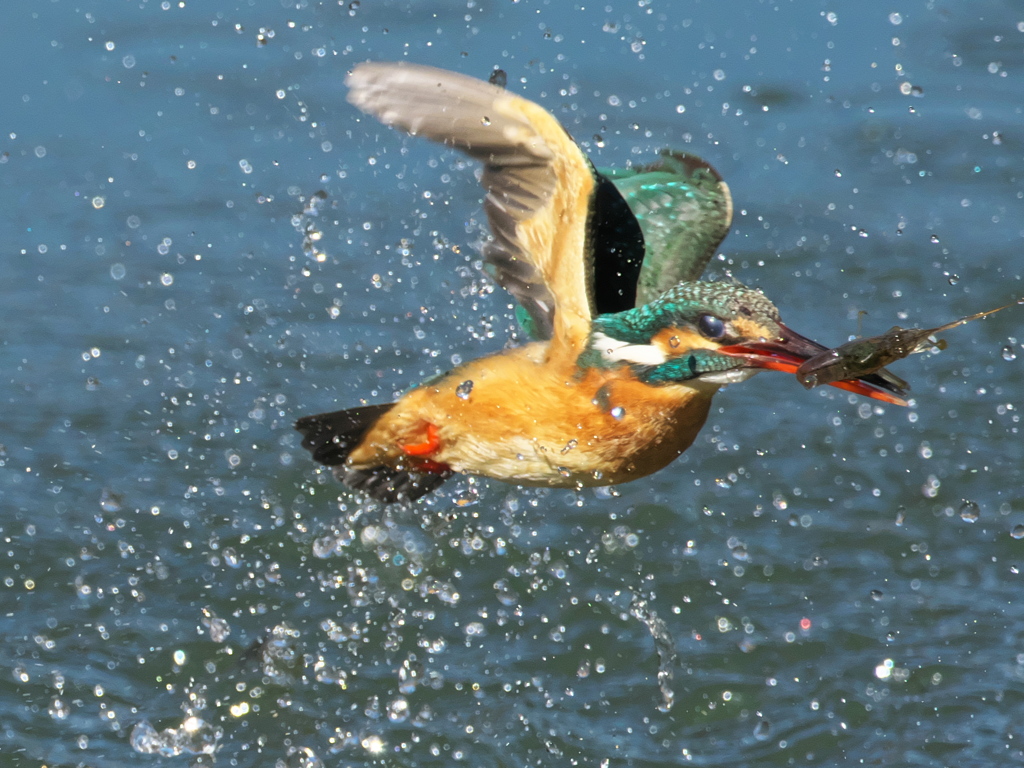 浮上 374-3（嫁候補）