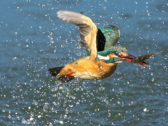 浮上 374-3（嫁候補）