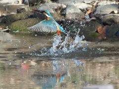 浮上 303（嫁候補）