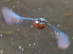 浮上 253（父親）