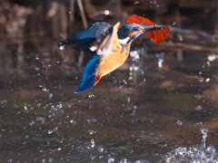 浮上 311（父親）