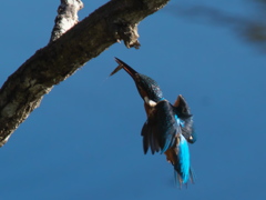 浮上 74-4（父親）