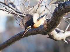 夕日を浴びて１