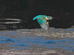 浮上 371-5（父親）