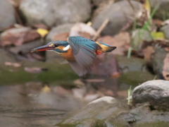 浮上 208（嫁候補）
