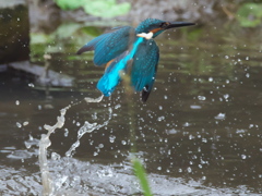 浮上 112-1（父親 霧雨）
