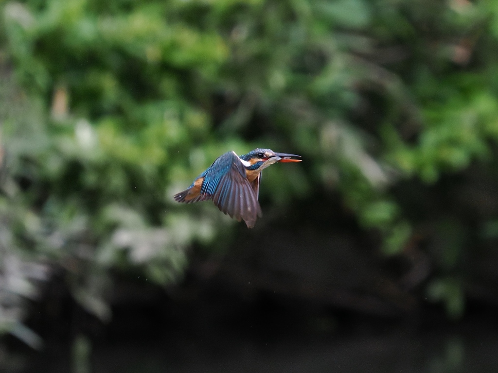 華麗なるターン 19-1