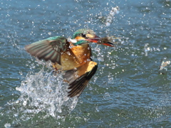 浮上 374-2（嫁候補）