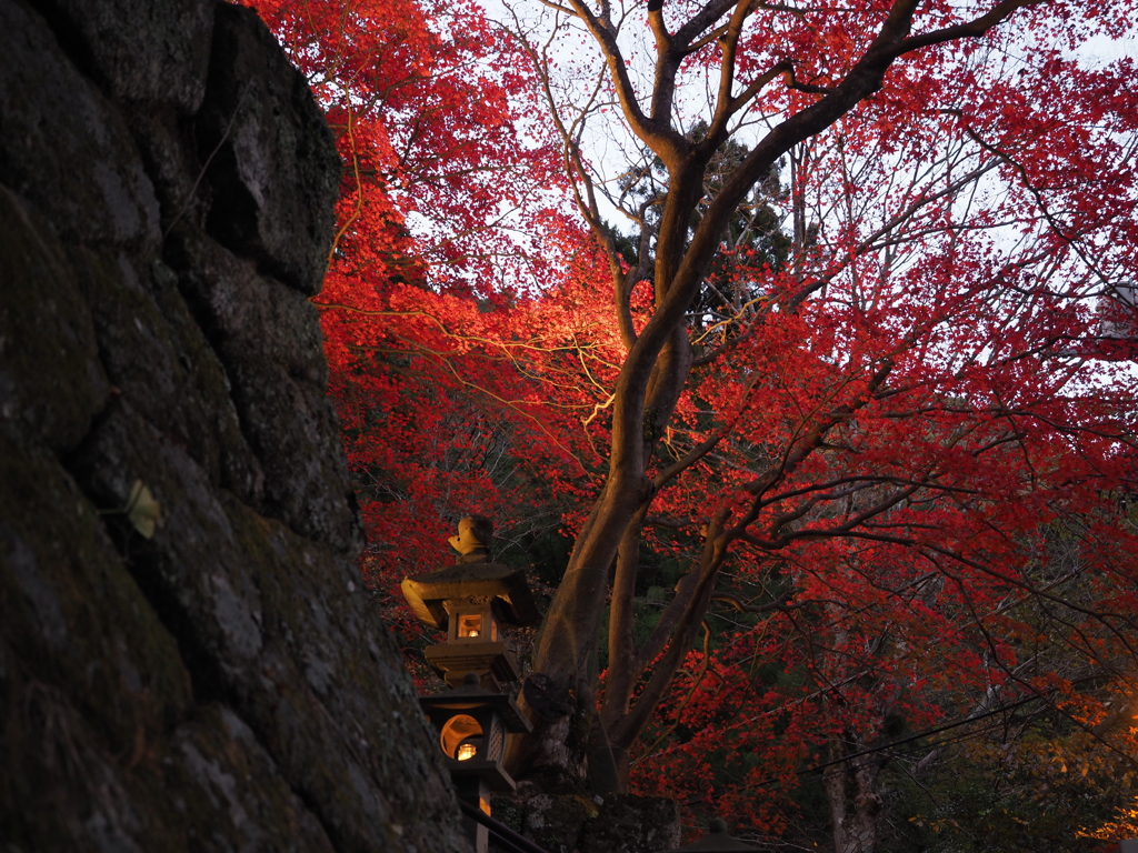 丹沢 大山寺３